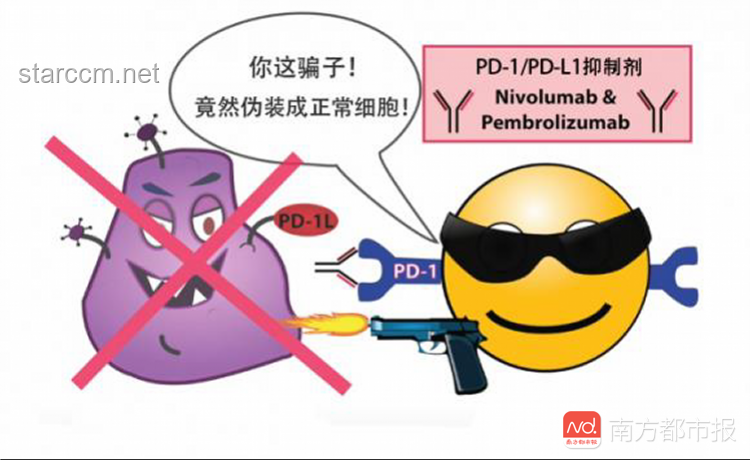 克服邪气负能量：有效管理“着急”情绪指南